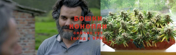шишки Саяногорск