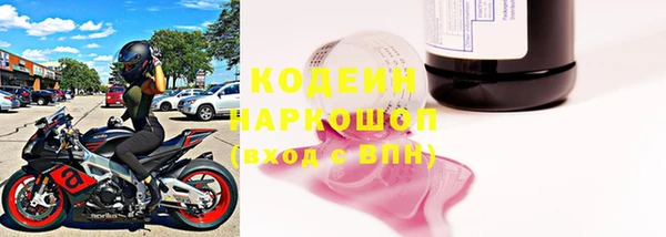 шишки Саяногорск