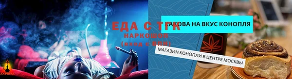 шишки Саяногорск