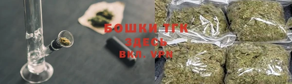 шишки Саяногорск