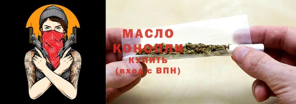 шишки Саяногорск