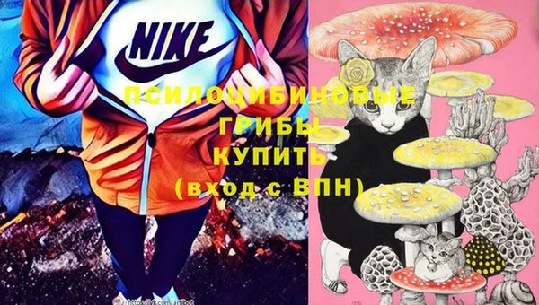spice Жердевка