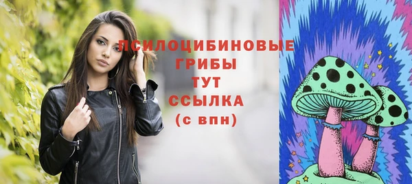 шишки Саяногорск