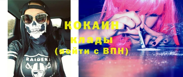 шишки Саяногорск