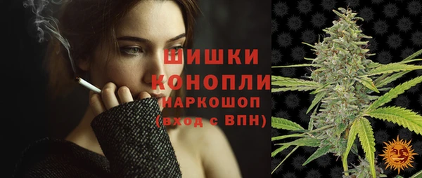 шишки Саяногорск