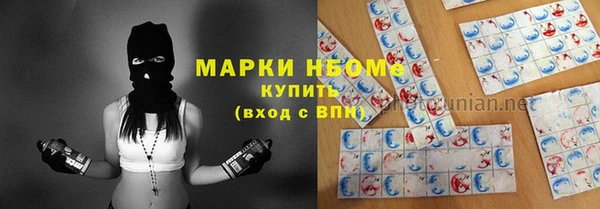 шишки Саяногорск