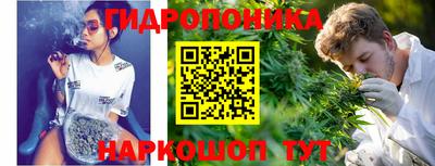 МДМА Новозыбков