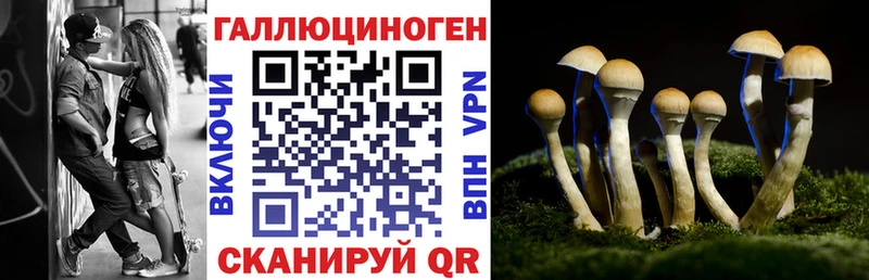 Псилоцибиновые грибы MAGIC MUSHROOMS  цена наркотик  Усть-Кут 