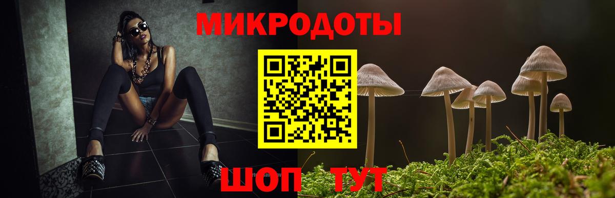 Псилоцибиновые грибы мицелий Усть-Кут