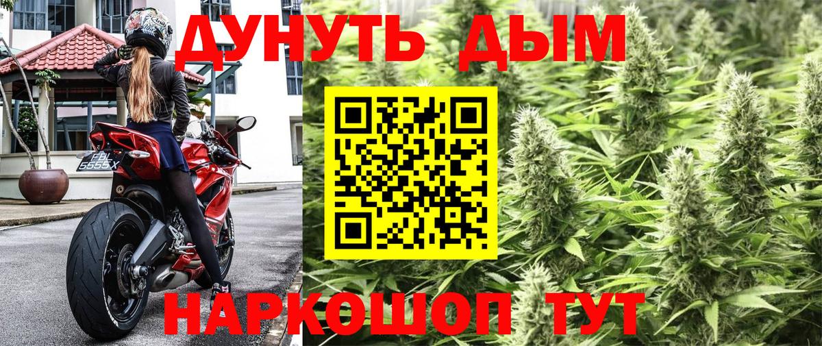 Каннабис AK-47  Вход с VPN  Усть-Кут  Конопля план 